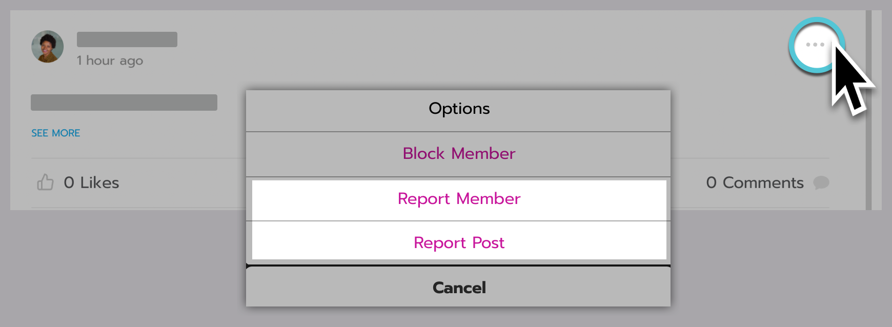 The 3 dots menu in the top right corner of a post is selected and the Report Member and Report Post options are highlighted.